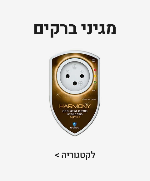 מגיני ברקים מגיני ברקים